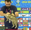 El Gato Maldito
